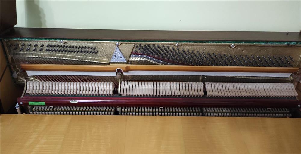 Pianina Doina
