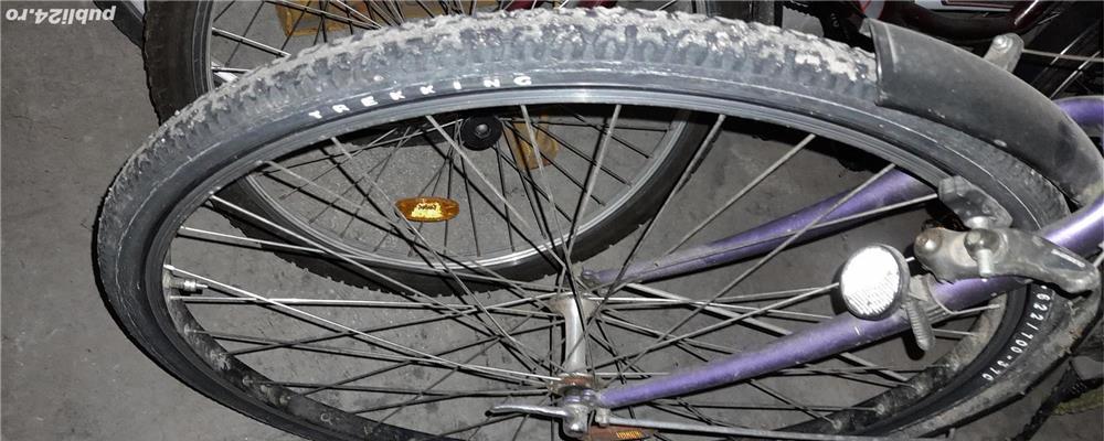Piese bicicleta
