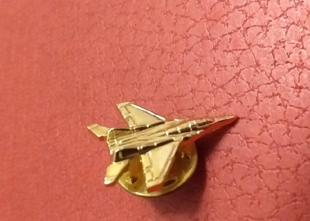 Pinuri SUA drapel si F35