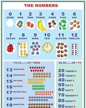 Planse Limba engleza - The numbers from 0 to 100/The numbers (DUO)