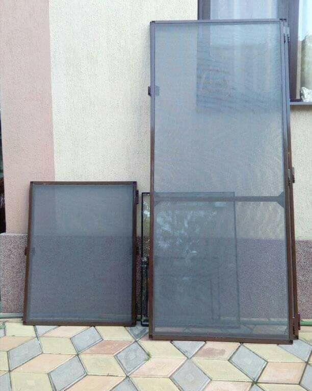 plase insecte