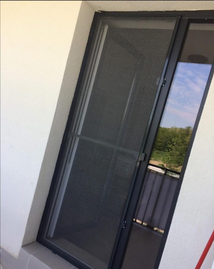 Plase țânțari/site insecte
