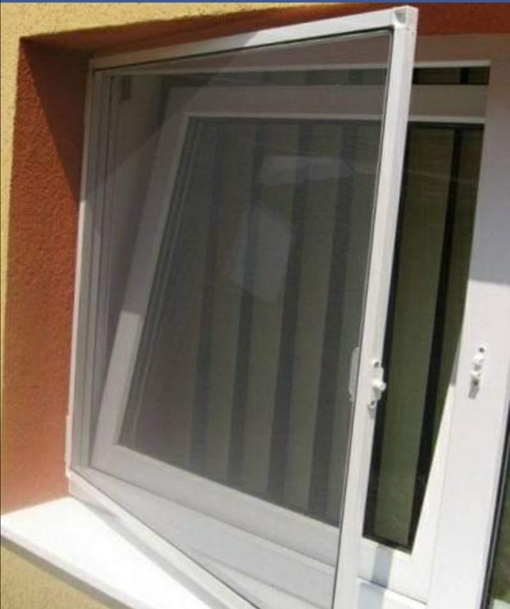 Plase țânțari/site insecte
