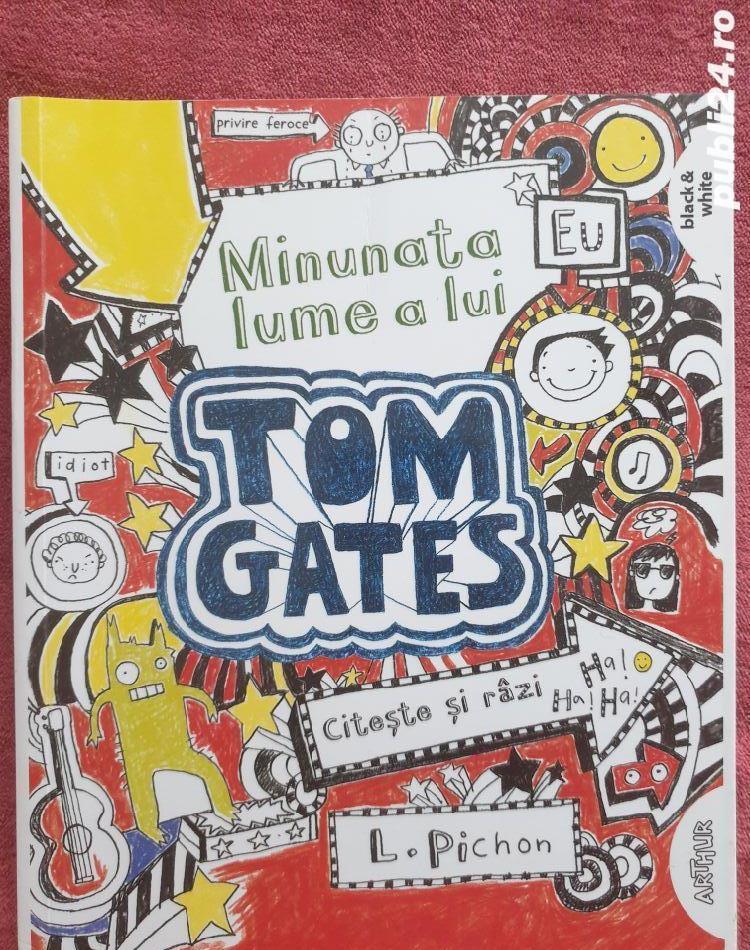 Poptropica & Minunata lume a lui Tom Gates