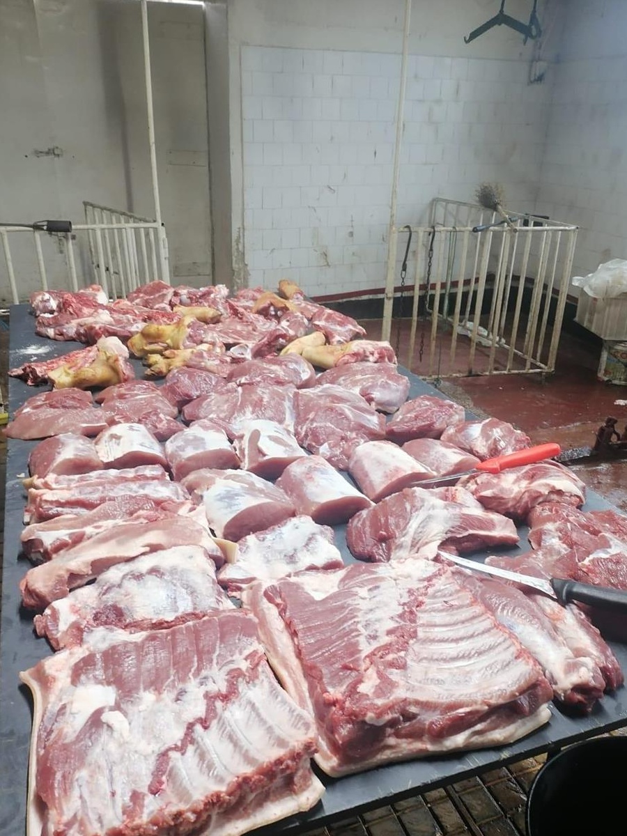 Porci de Carne pentru sacrificat!