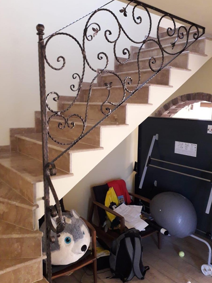 Porti, balustrade si scari metalice Timisoara