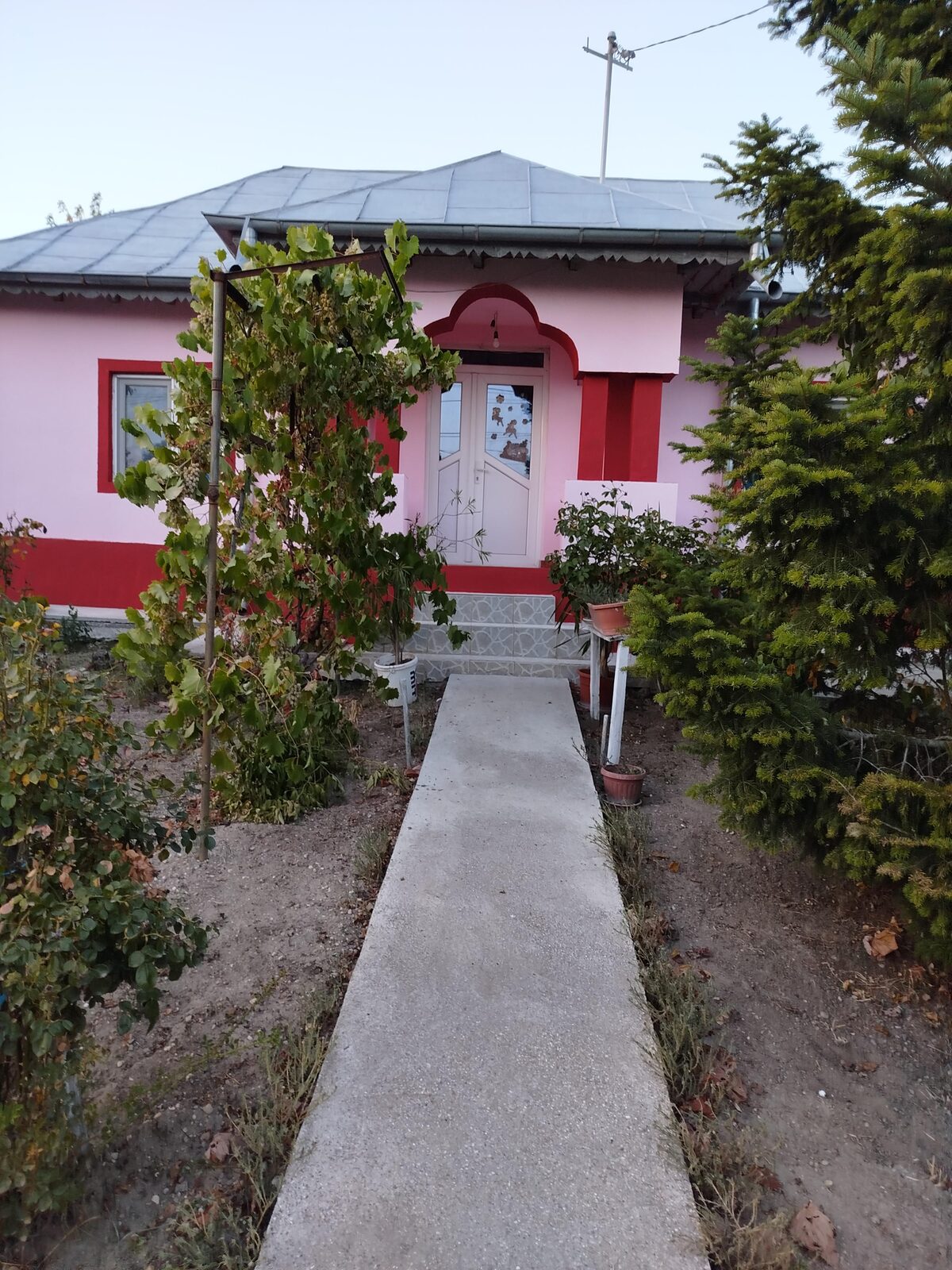 prietar vad casa Comuna Bucsani sat Obedeni,jud Giurgiu