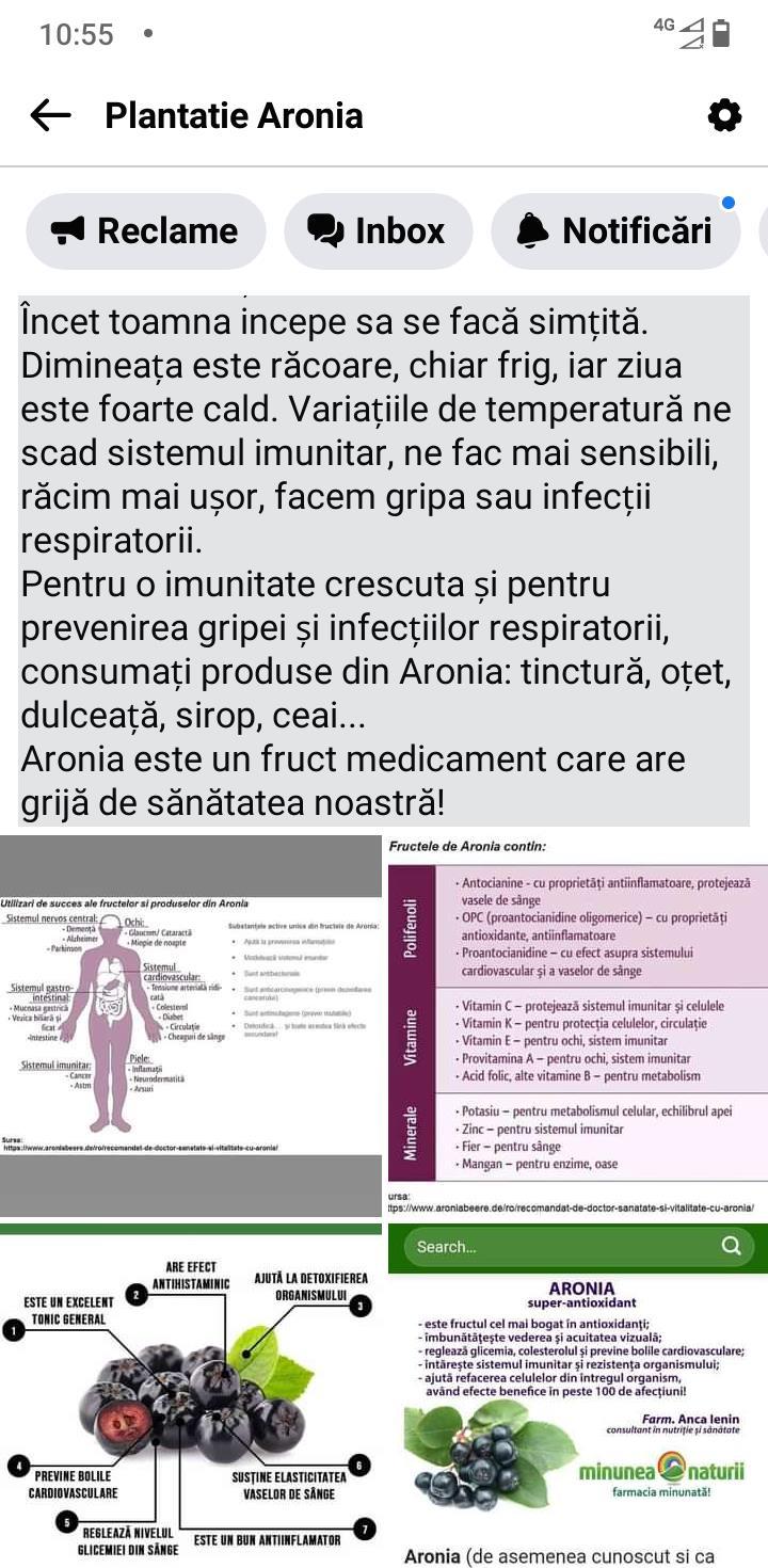 Produse din Aronia Bio - Plantatie jud Gorj