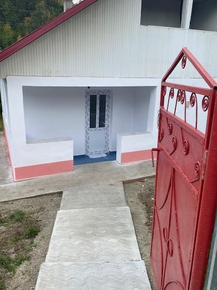 PROPRIETAR - BOHOCI casa la padure, proaspat renovata.