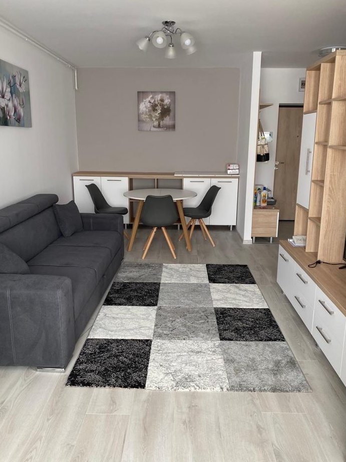 Proprietar inchiriez ap 2 camere Theodor Pallady - Hils Residence