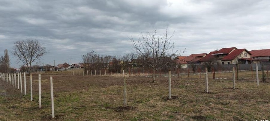 Proprietar, vand parcela de teren 1242 mp. in Dumbravita, Timis