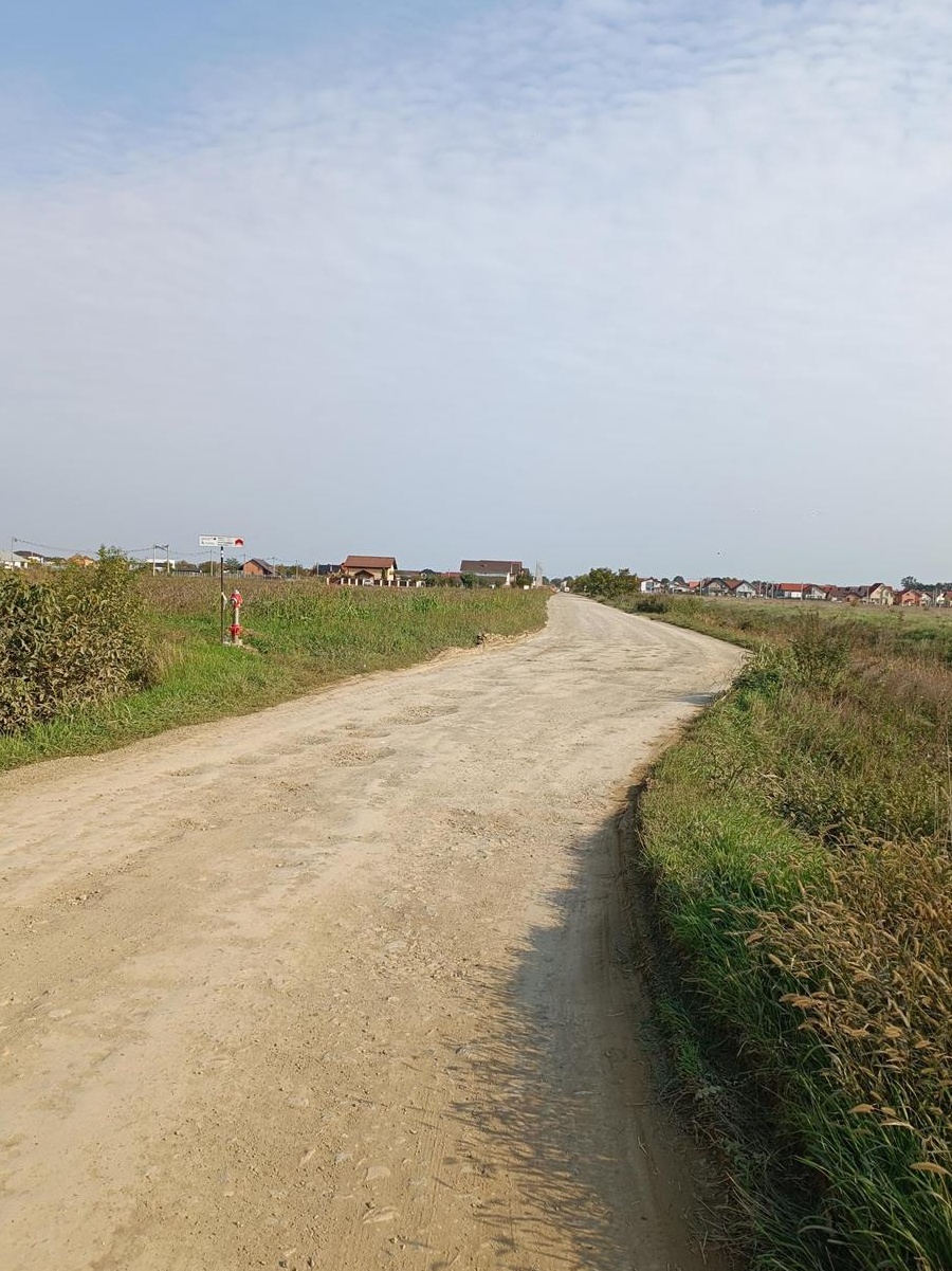 Proprietar, vand teren in Mosnita Veche in apropiere de Padurea Bistra