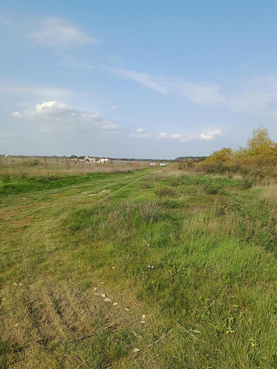 Proprietar, vand teren in Mosnita Veche in apropiere de Padurea Bistra