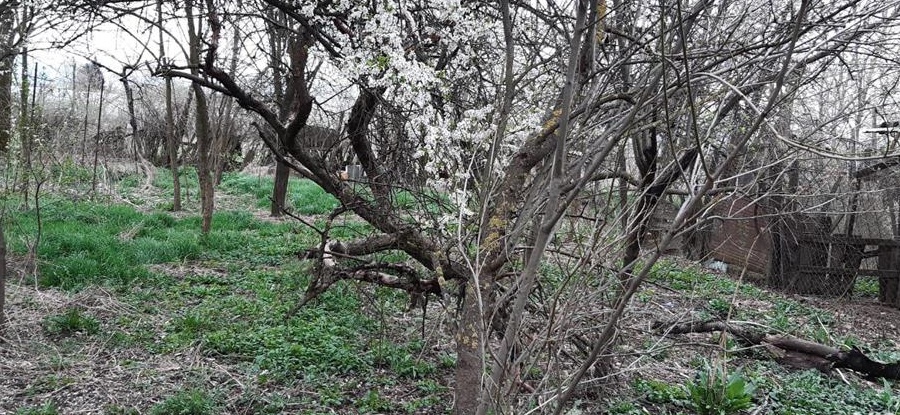 Proprietar vand teren intravilan