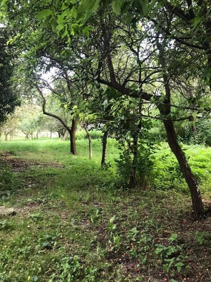 Proprietar, vand teren intravilan Poienarii de Muscel