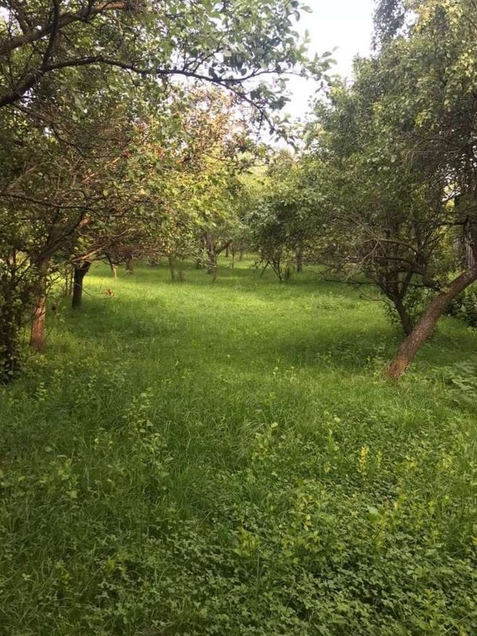 Proprietar, vand teren intravilan Poienarii de Muscel