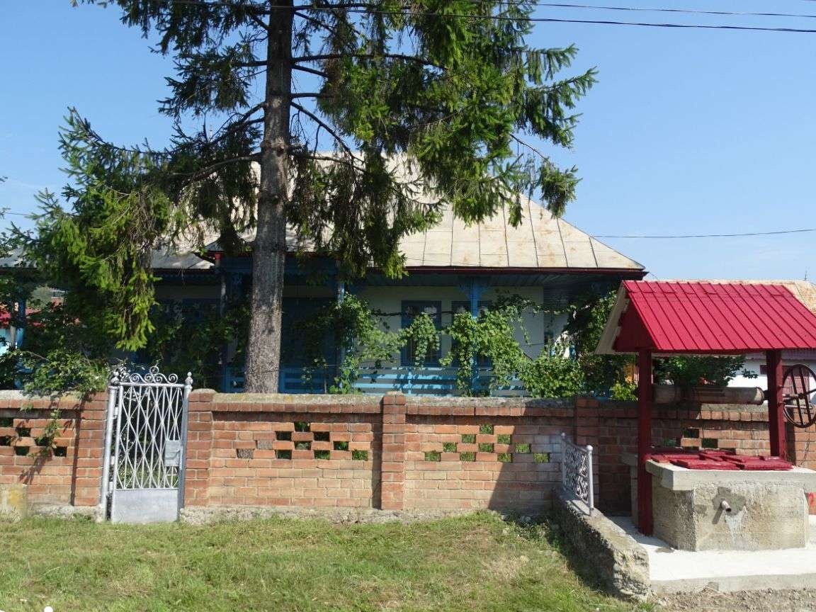 Proprietate EXCEPTIONALA - com.Tg TROTUS, sat Viisoara, jud. BACAU