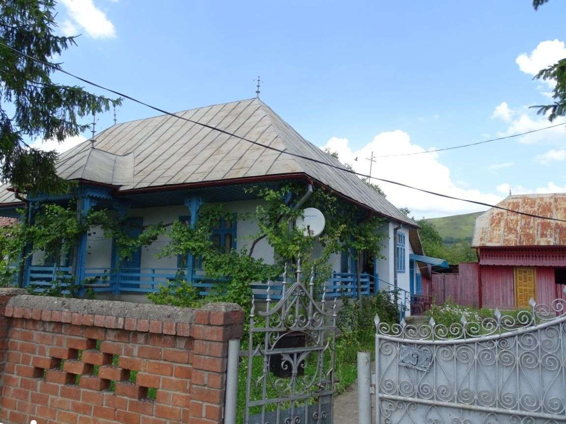Proprietate EXCEPTIONALA - com.Tg TROTUS, sat Viisoara, jud. BACAU