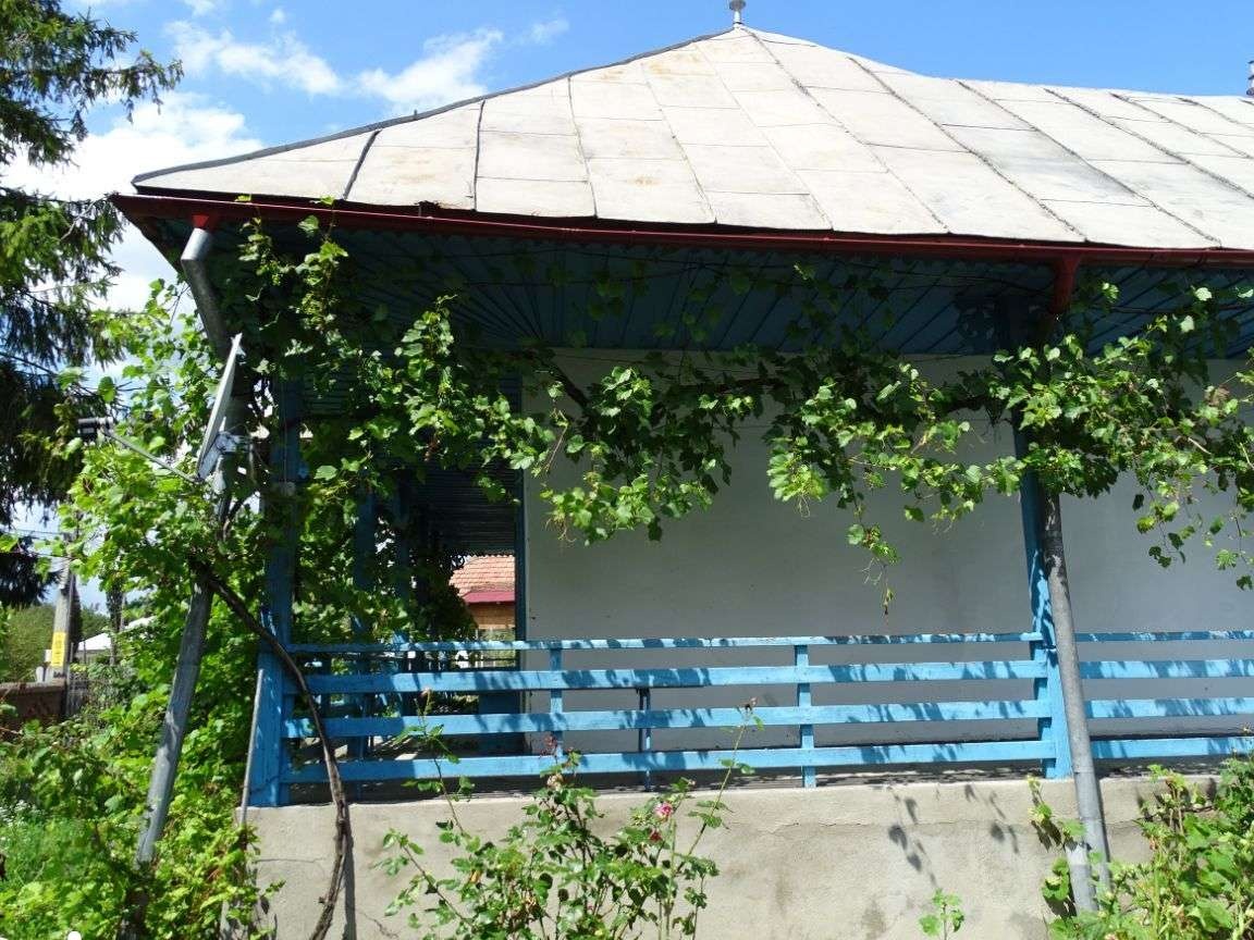 Proprietate EXCEPTIONALA - com.Tg TROTUS, sat Viisoara, jud. BACAU