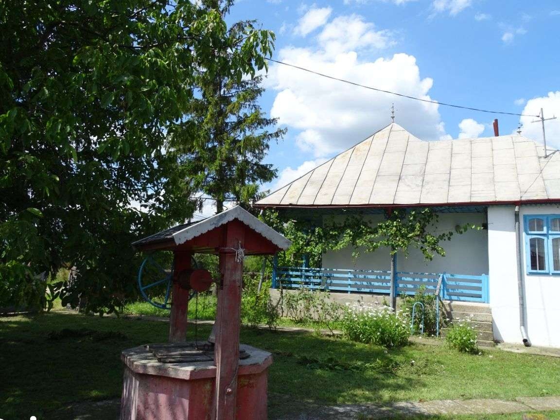 Proprietate EXCEPTIONALA - com.Tg TROTUS, sat Viisoara, jud. BACAU