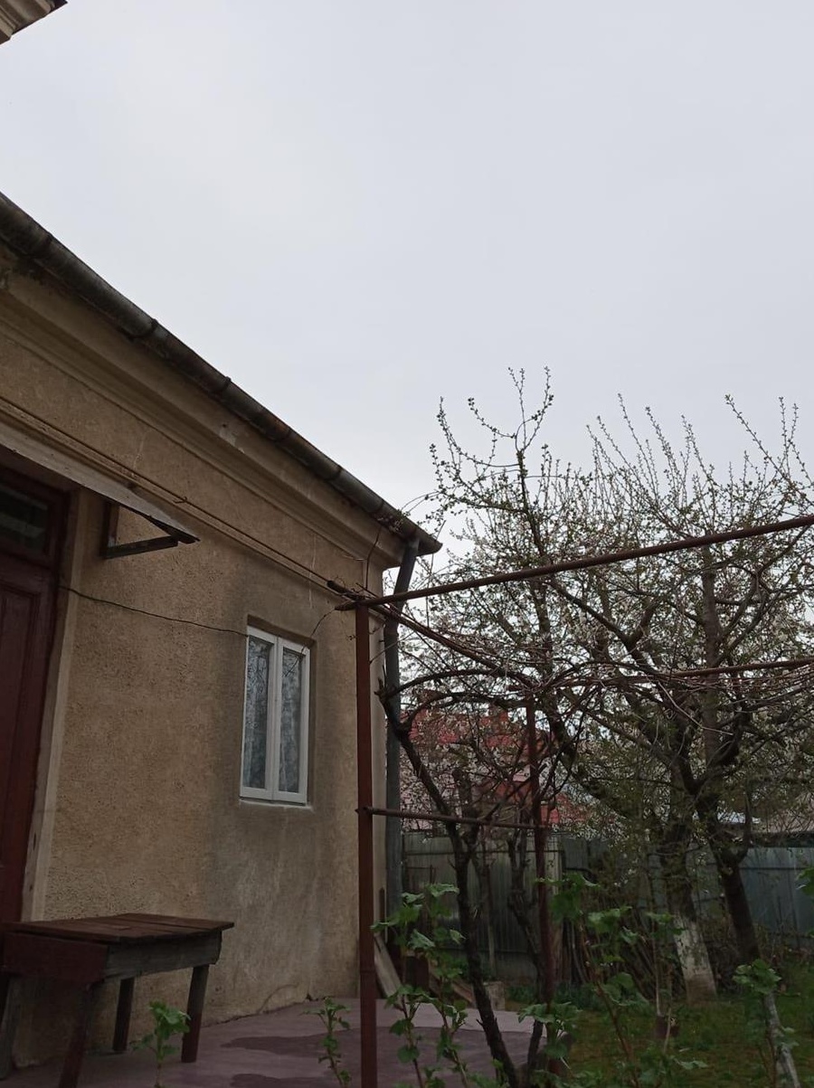 Proprietate in Roman