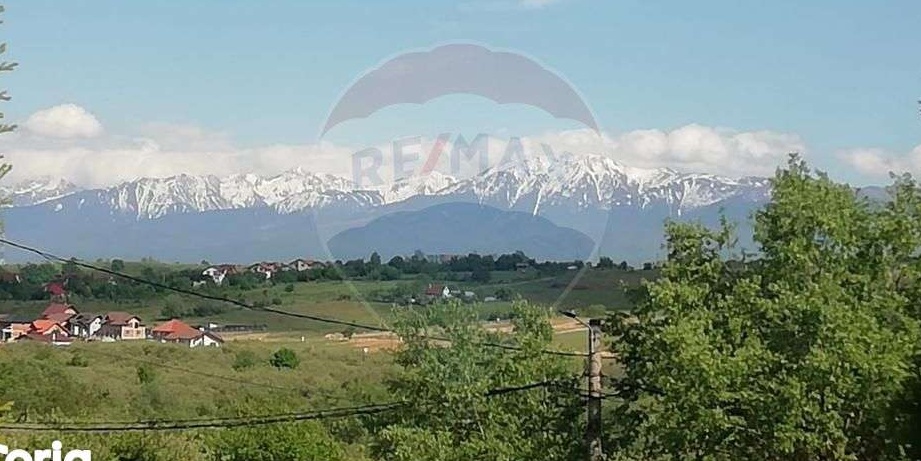 Proprietate specială-teren 1650 mp,casa si piscina in Cisnadioara