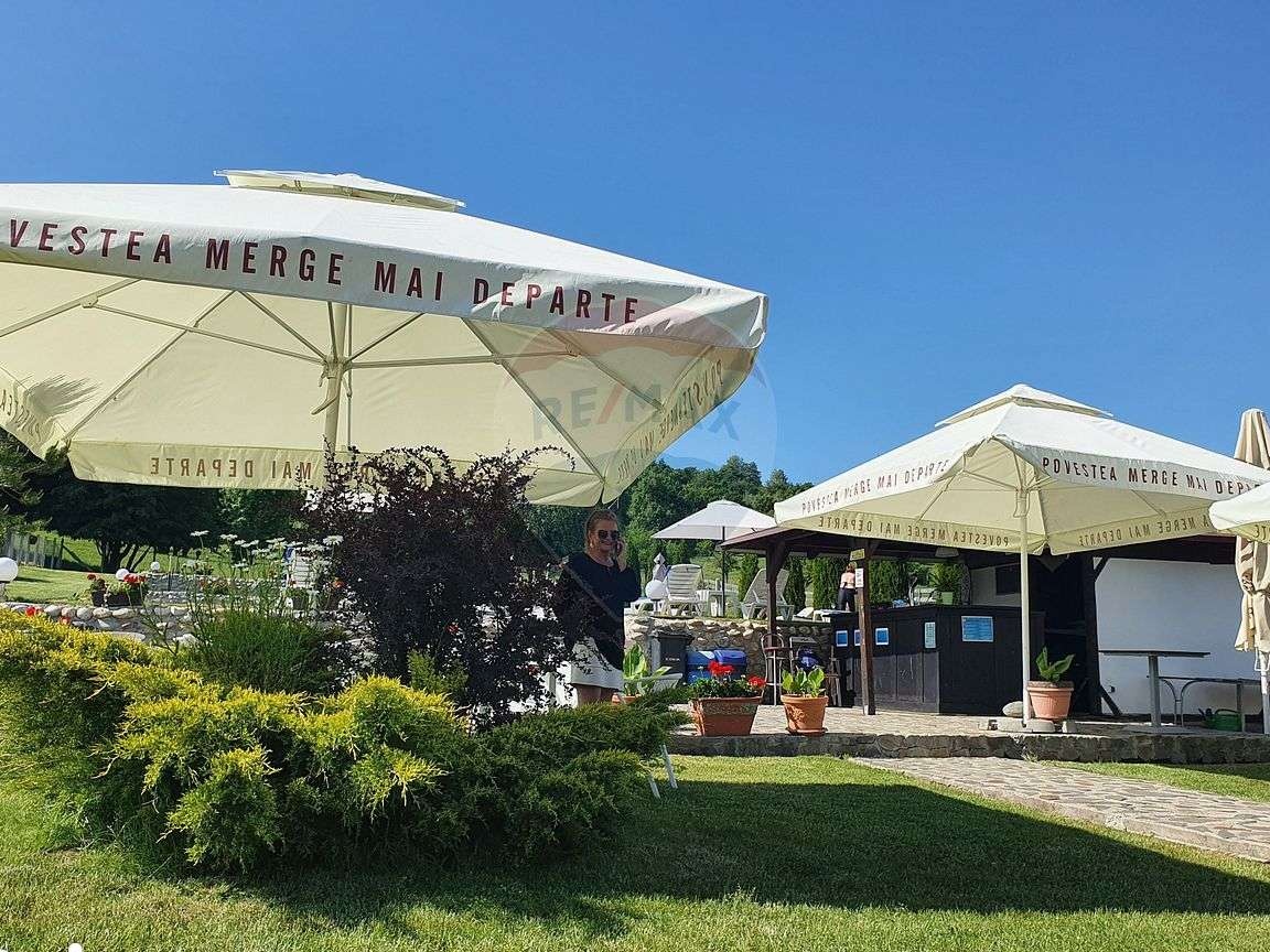 Proprietate specială-teren 1650 mp,casa si piscina in Cisnadioara