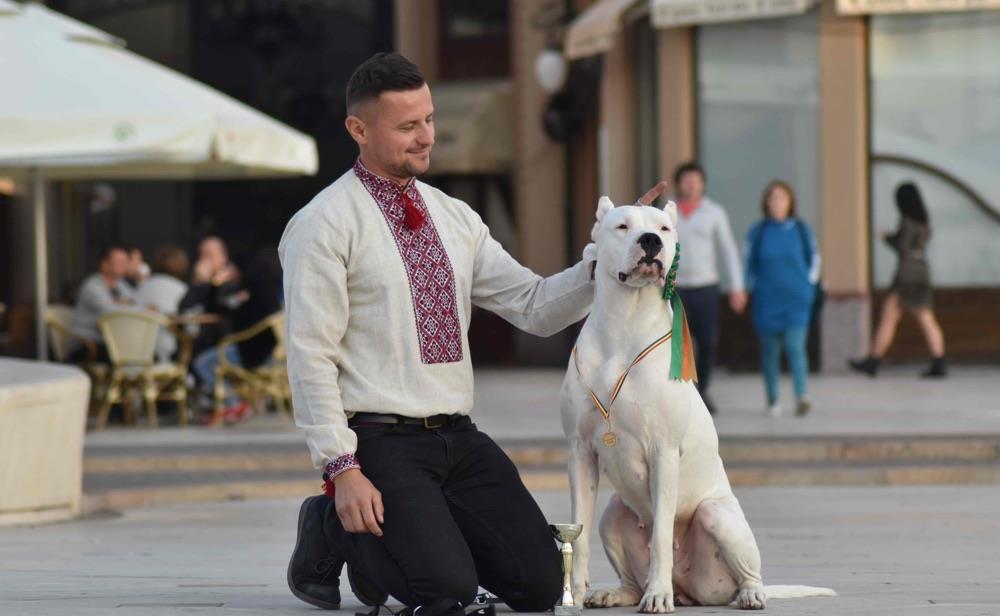 Pui Dogo Argentino - Dog Argentinian - Pedigree - Canisa