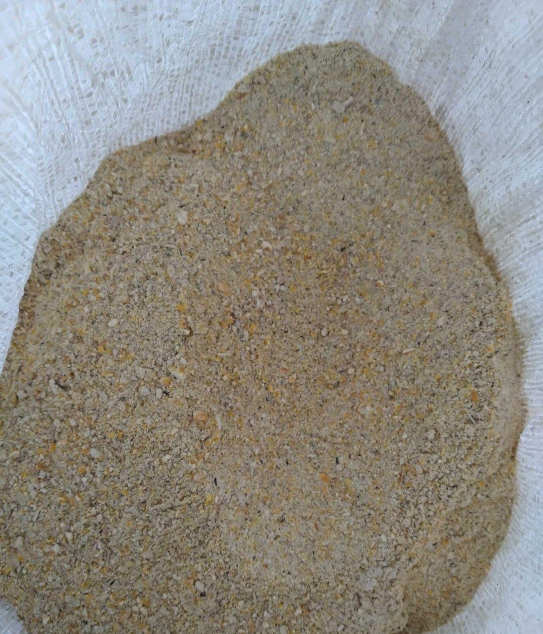 PVM gaini ouatoare