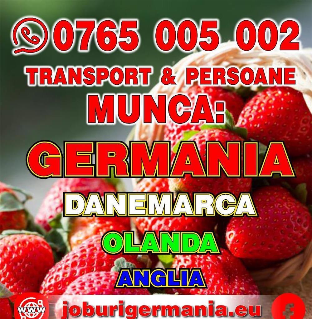 Recrutam femei:si barbati (cupluri)