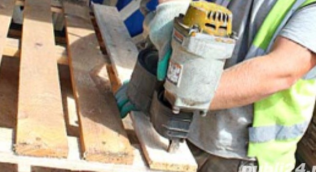 Reparator Paleti Lemn in Olanda