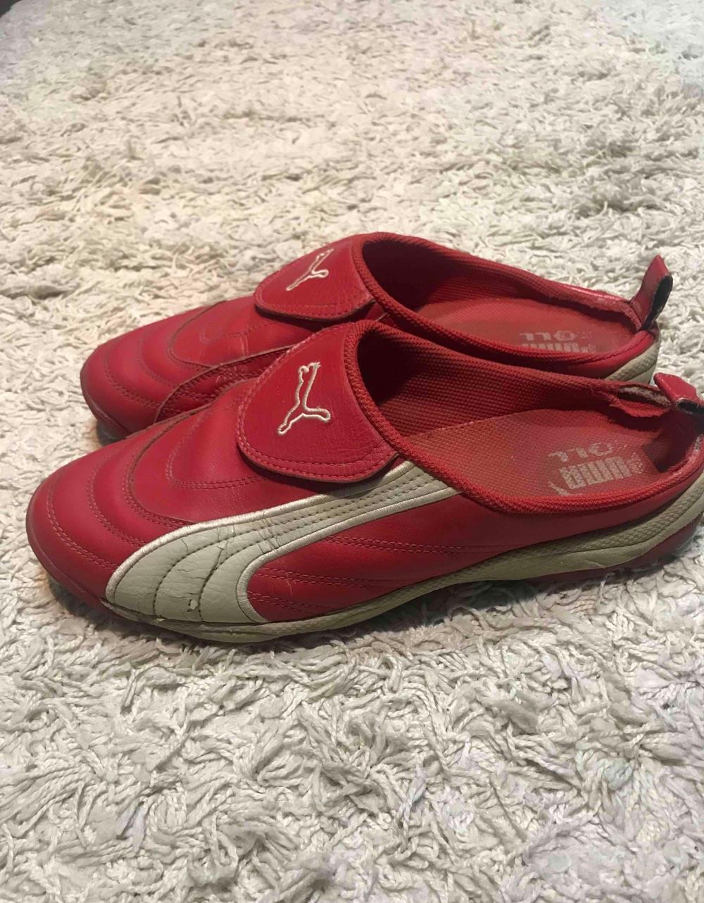 Saboti Puma