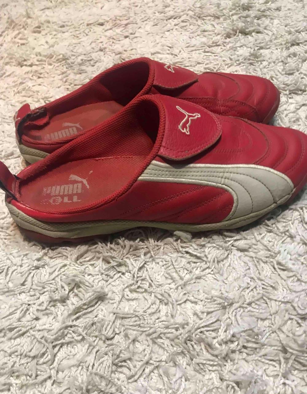 Saboti Puma