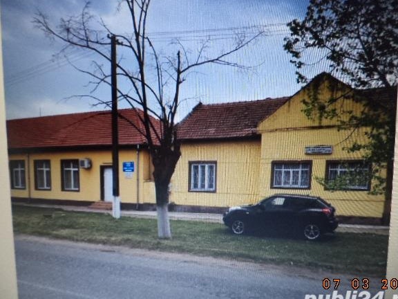 SANGEORGE- BIRDA