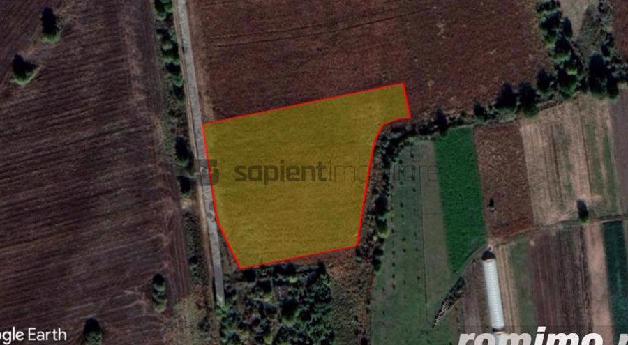Sapient | Teren cu destinație industrială în loc. Borș