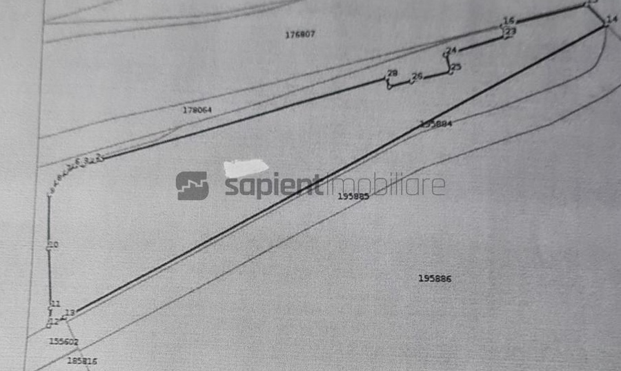 SAPIENT | Teren destinatie comerciala - centura str. Ogorului
