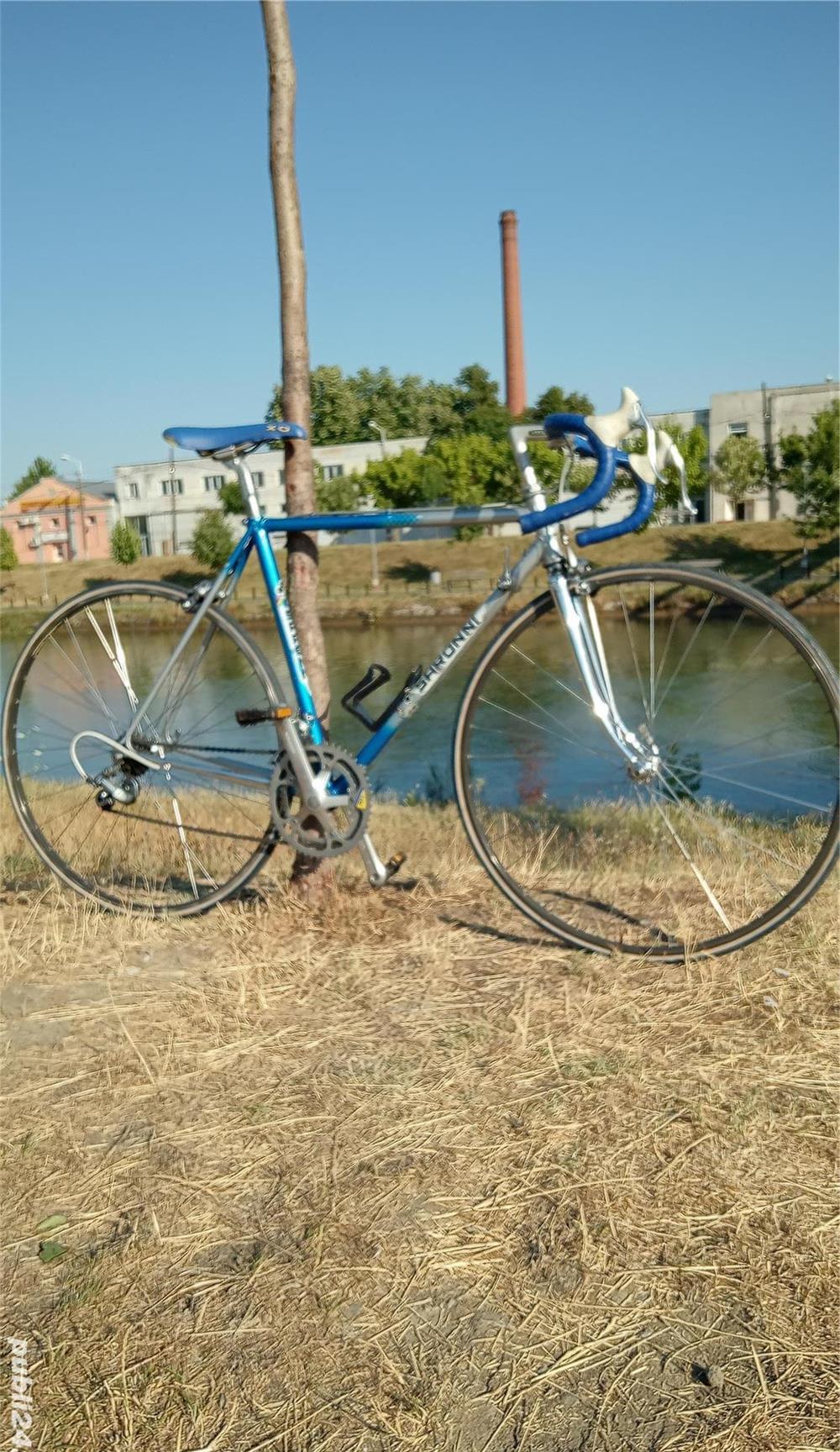Saronni Colnago