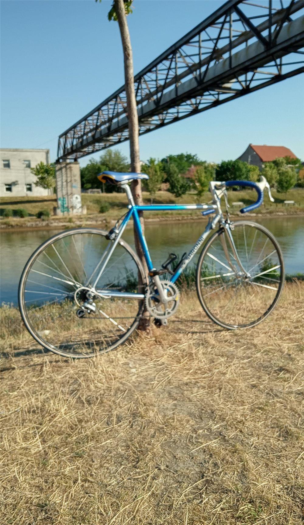 Saronni Colnago