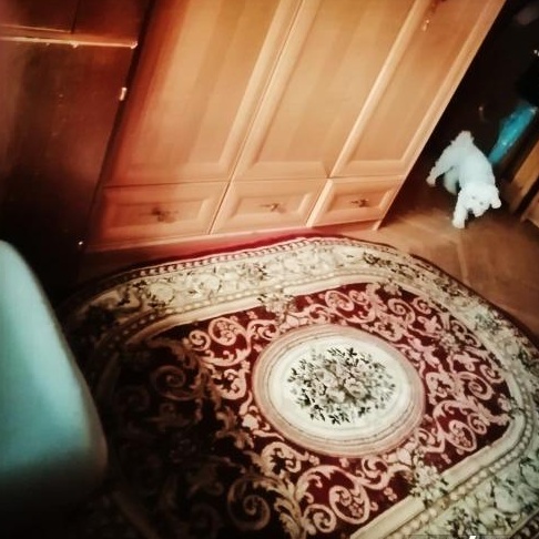 Schimb, apartament 2 camere 52 mp util, parter inalt din caramida, Cantemir, scoala, statuie.