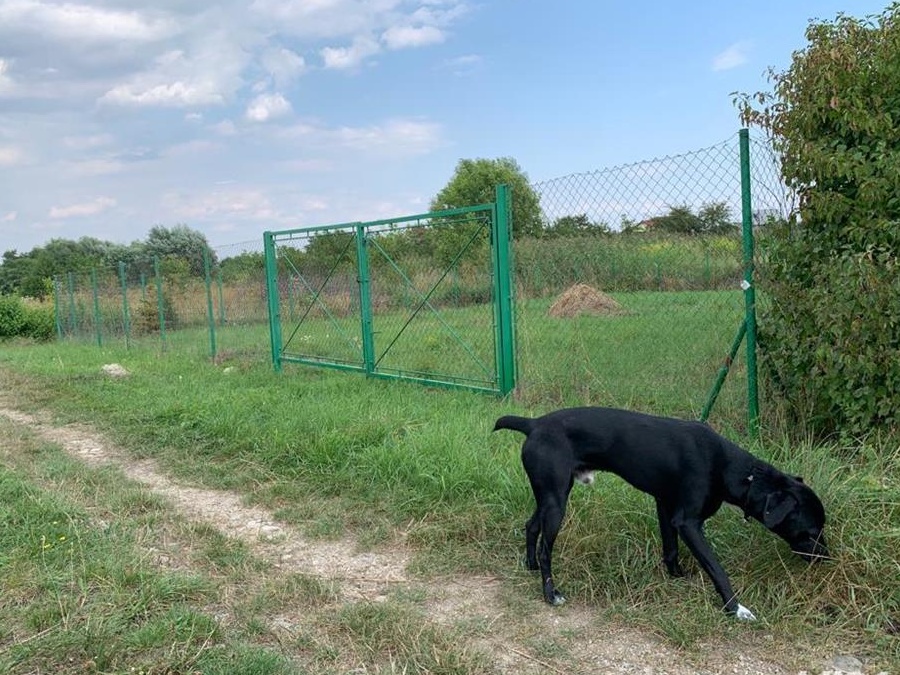 Schimb / vand teren intravilan CLUJ NAPOCA cu apartament in SIBIU