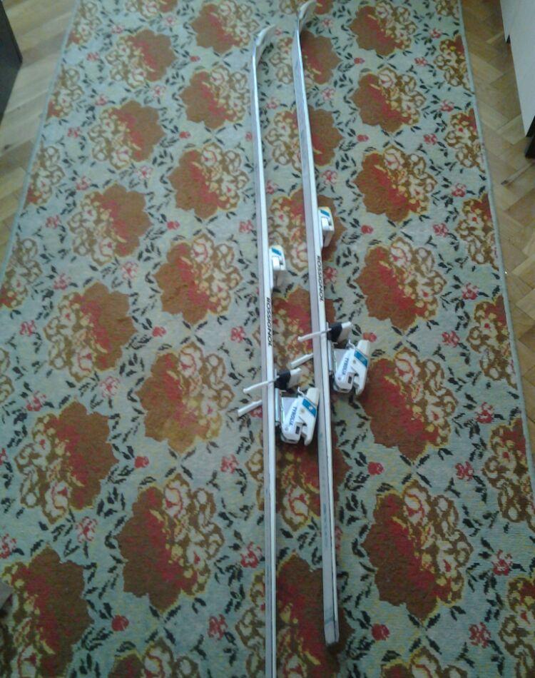 schiuri rossiggnol open
