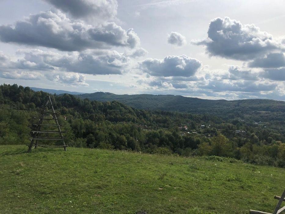 Se vinde teren în Cicanesti