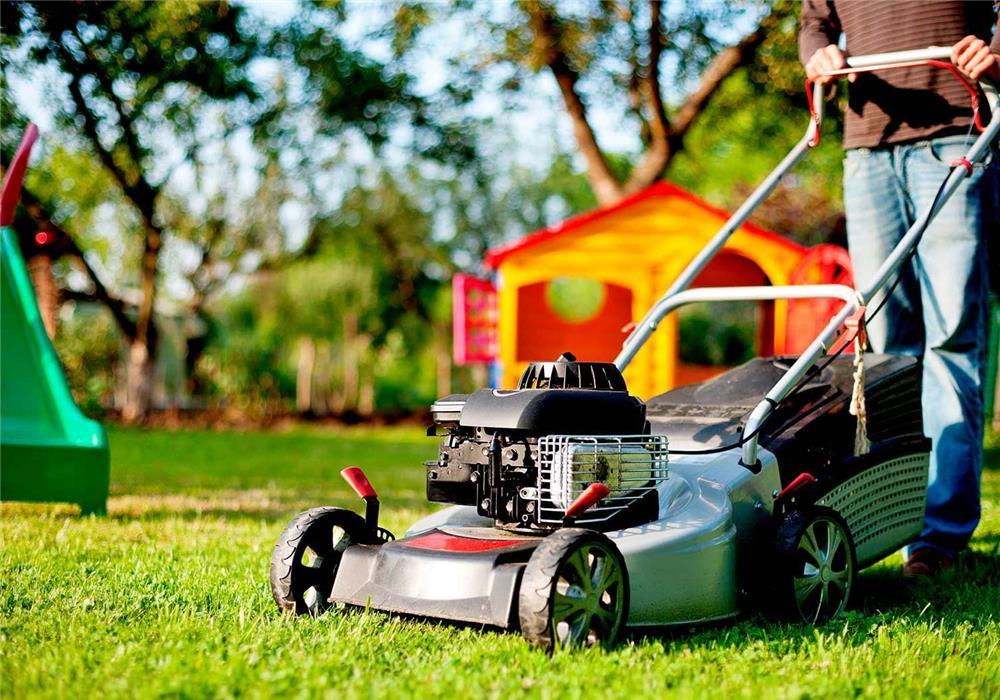 Servicii amenajare spatii verzi, gazon, pomi