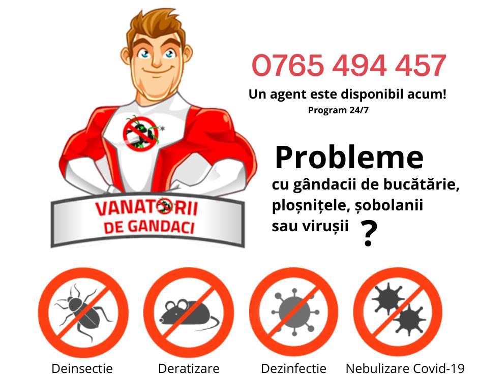 Servicii complete deratizare - te scăpăm de insecte, viruși și rozătoare!