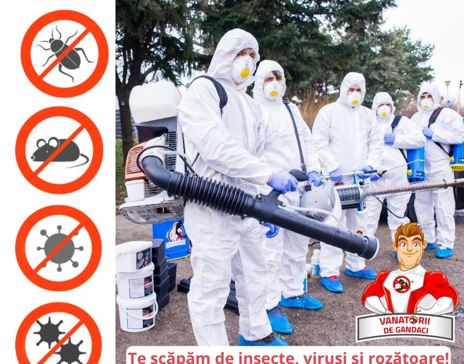Servicii complete deratizare - te scăpăm de insecte, viruși și rozătoare!