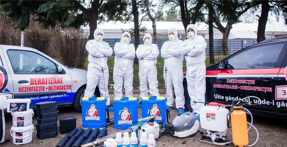 Servicii complete deratizare - te scăpăm de insecte, viruși și rozătoare!