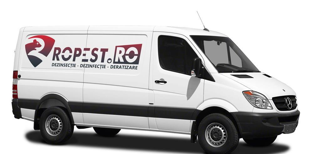 Servicii Dezinfectie Iasi (inclusiv impotriva COVID19), servicii DDD