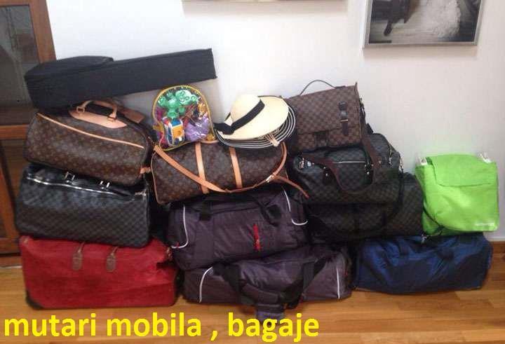 Servicii transport - mutari diverse - relocari - diverse Ridic Moloz-Debarasari Timisoara