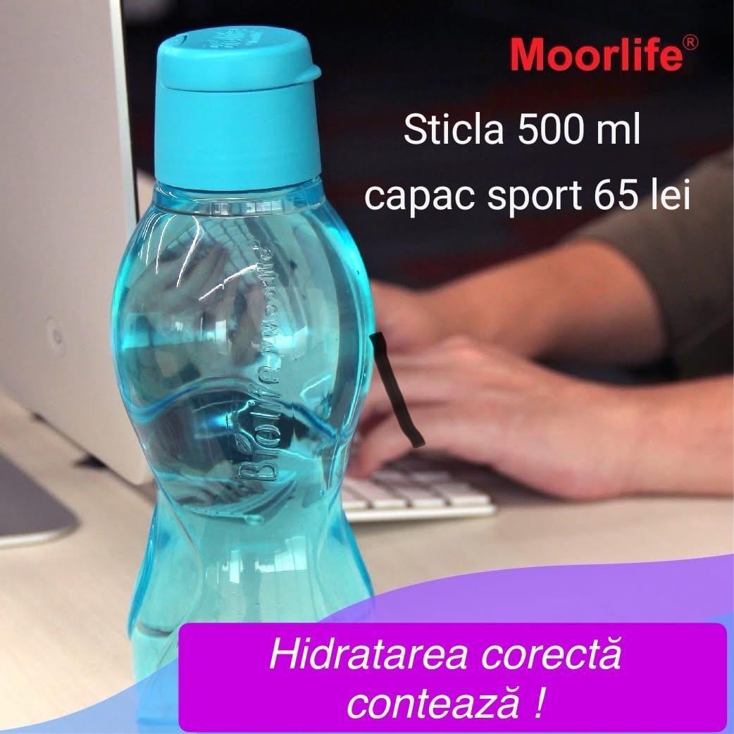 Set Dino Moorlife
