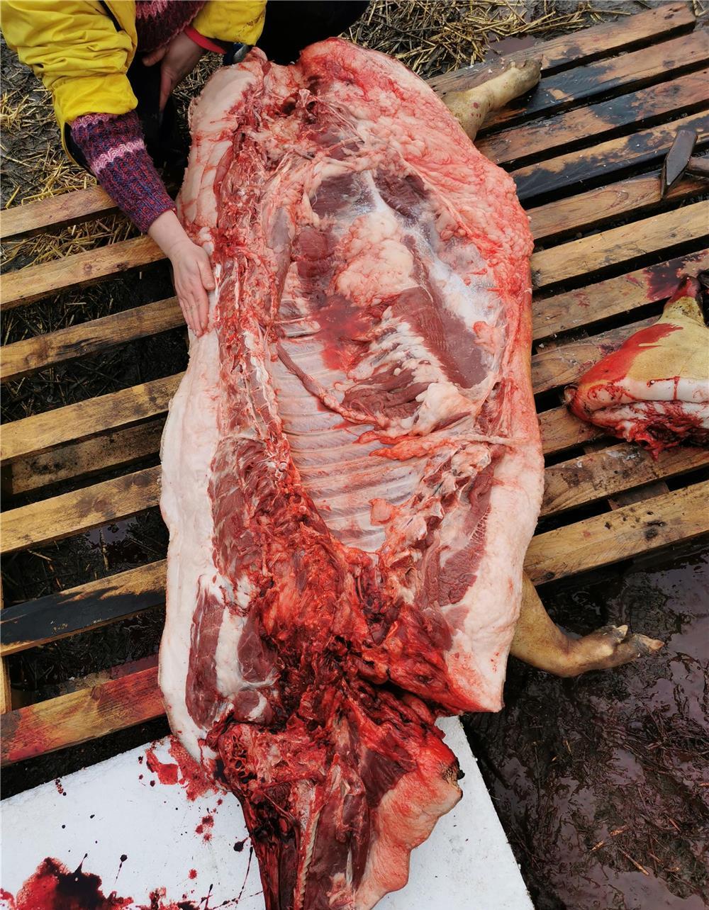 Sferturi porc mangalița, untura, jumări